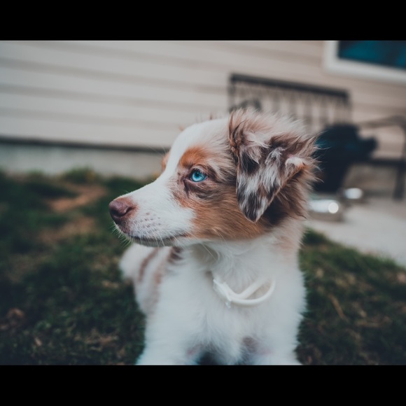 Meet your Posher, Brenna - Picture 8 of 12